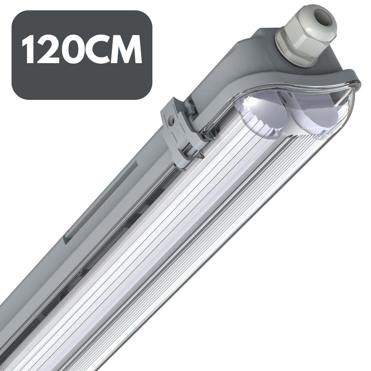 120 cm TL-Leuchten mit Röhre