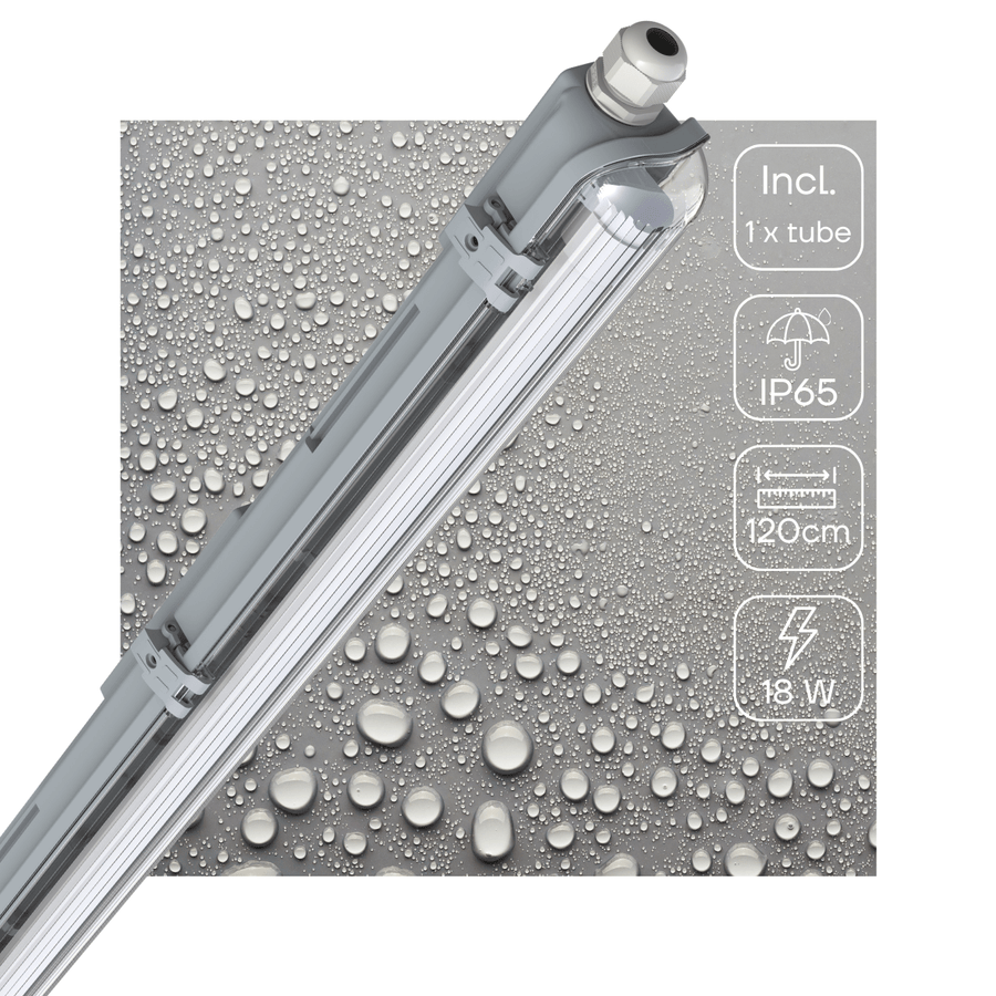 Proventa LED TL fixture with lamp 120 cm - Cold white light 6500 K - Waterproof - Complete set - LED.nl