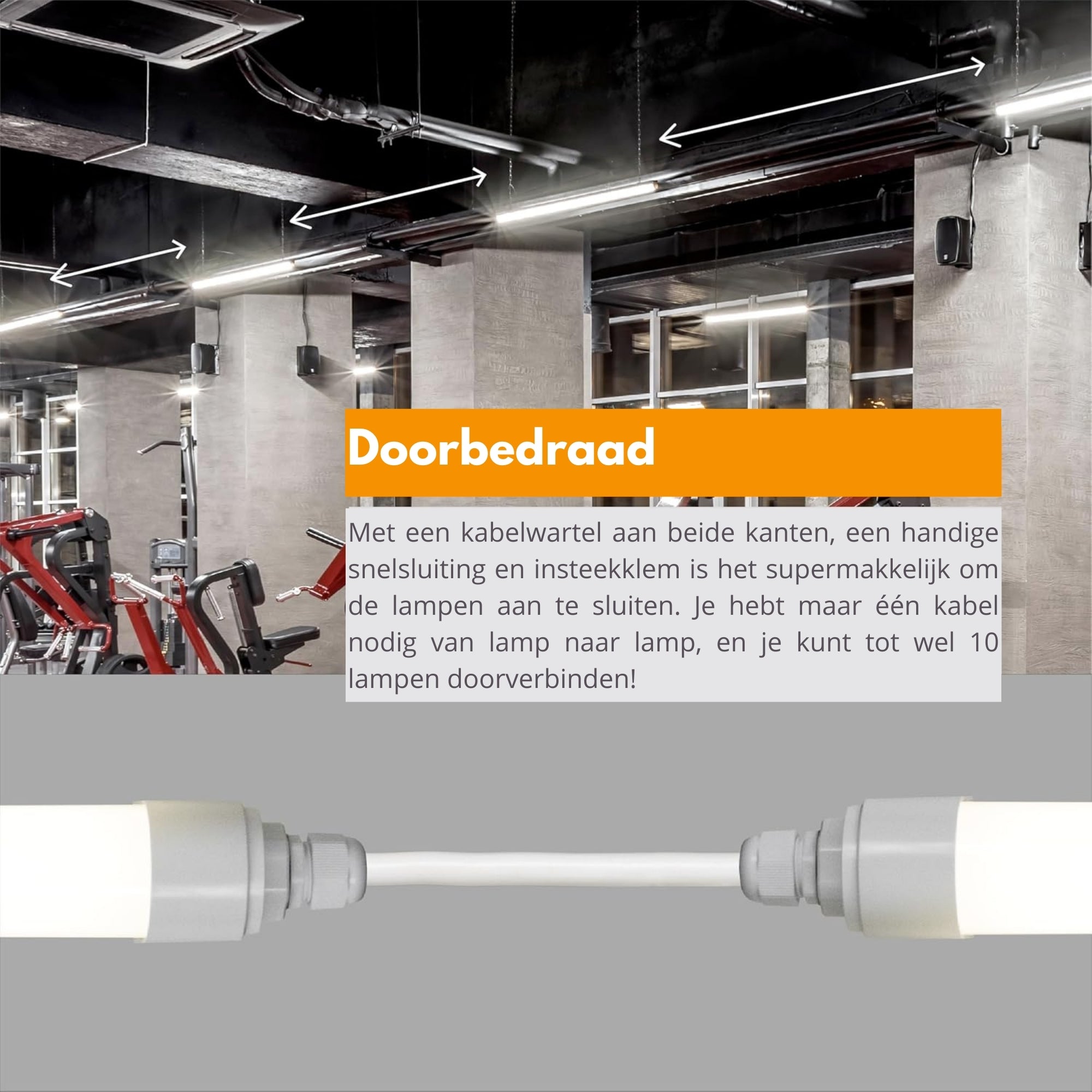 2 PACK - LED's Light LED TL lamp compleet 120 cm - Koppelbaar tot 10 lampen - Waterdicht - IP65 TL verlichting LED.nl