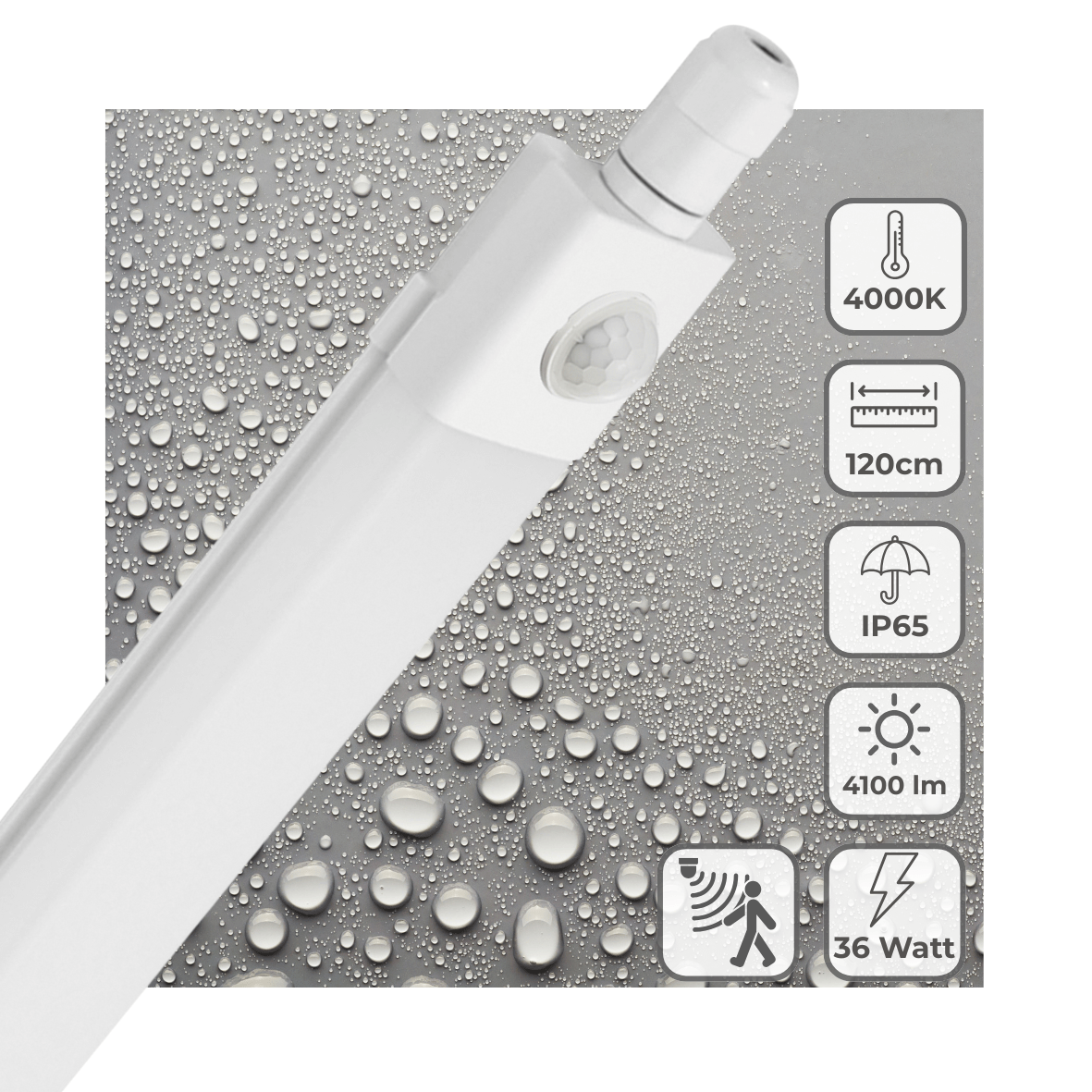 LED's Light LED TL verlichting met sensor 120 cm - Bewegingssensor en bewegingsdetectie - 4100 lm TL verlichting LED.nl