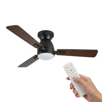 LED's Light Deckenventilator mit Lampe 106cm 2in1 Holz/Schwarz  53W 2200lm 1800K/4000K - lidstore.shop
