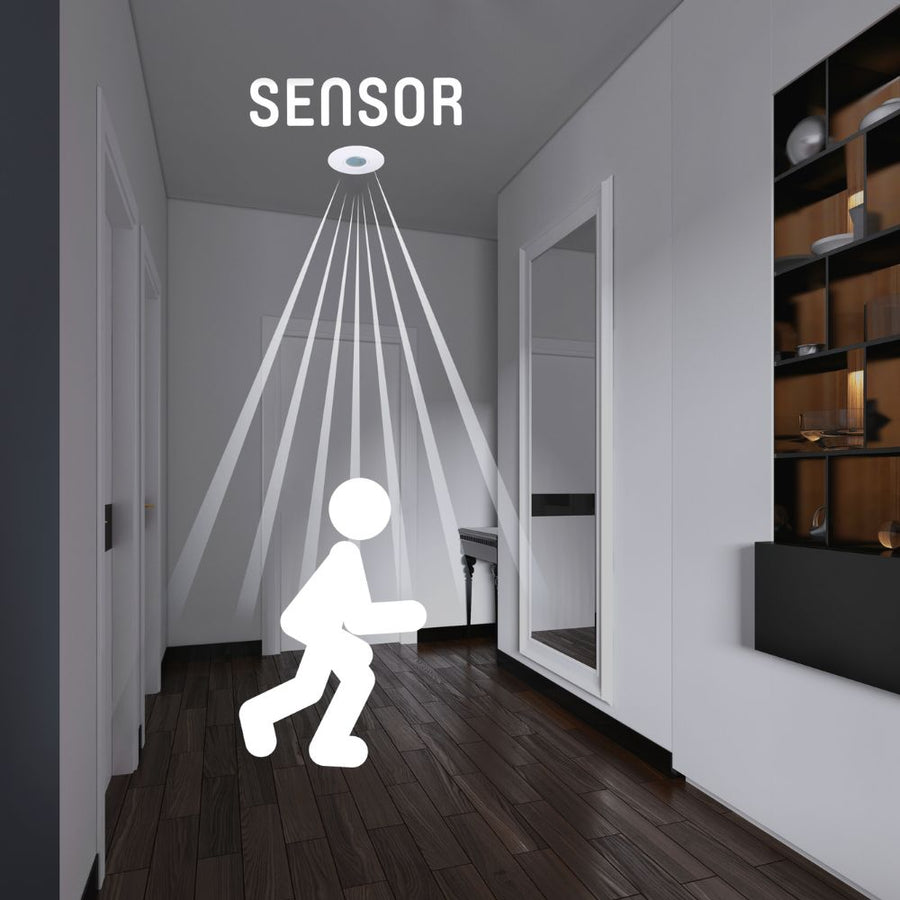 2in1 Bewegungsmelder Decke – Bewegungssensor &amp; Tageslichtsensor – 6 Meter Reichweite  - lidstore.shop