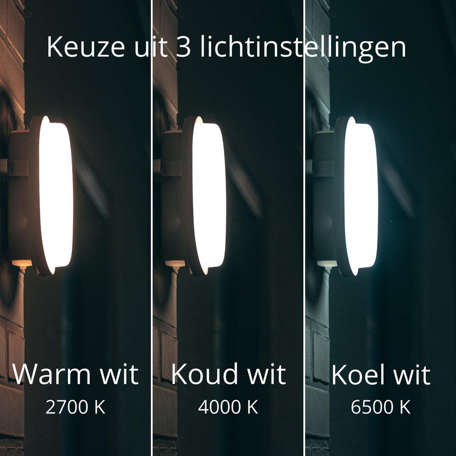 CCT Bull Eye Lampe für Decke und Wand – IP65 – Für drinnen und draußen geeignet – 18 cm - lidstore.shop