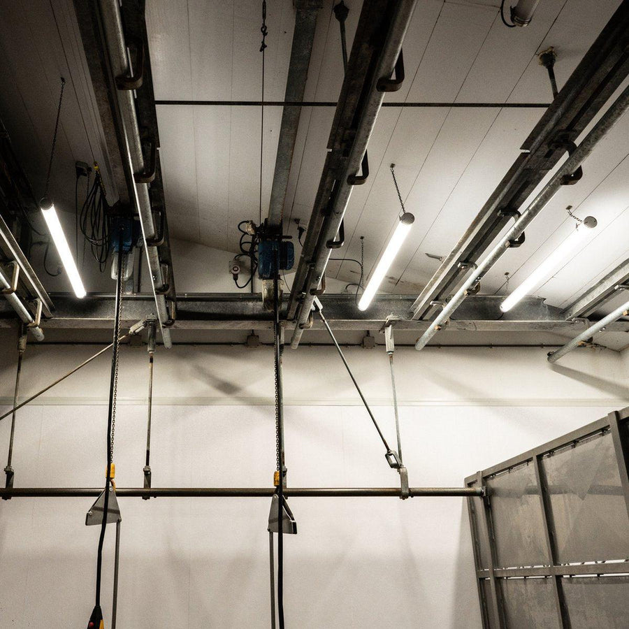 FarmPro LED TL fixture 150 cm - Agricultural LED TL lighting - Ammonia and water resistant - IP69K - LED.nl