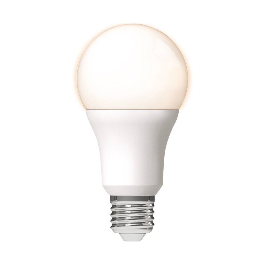 LED Lamp E27 - Matt - Warm white - 13W replaces 100W - LED.nl