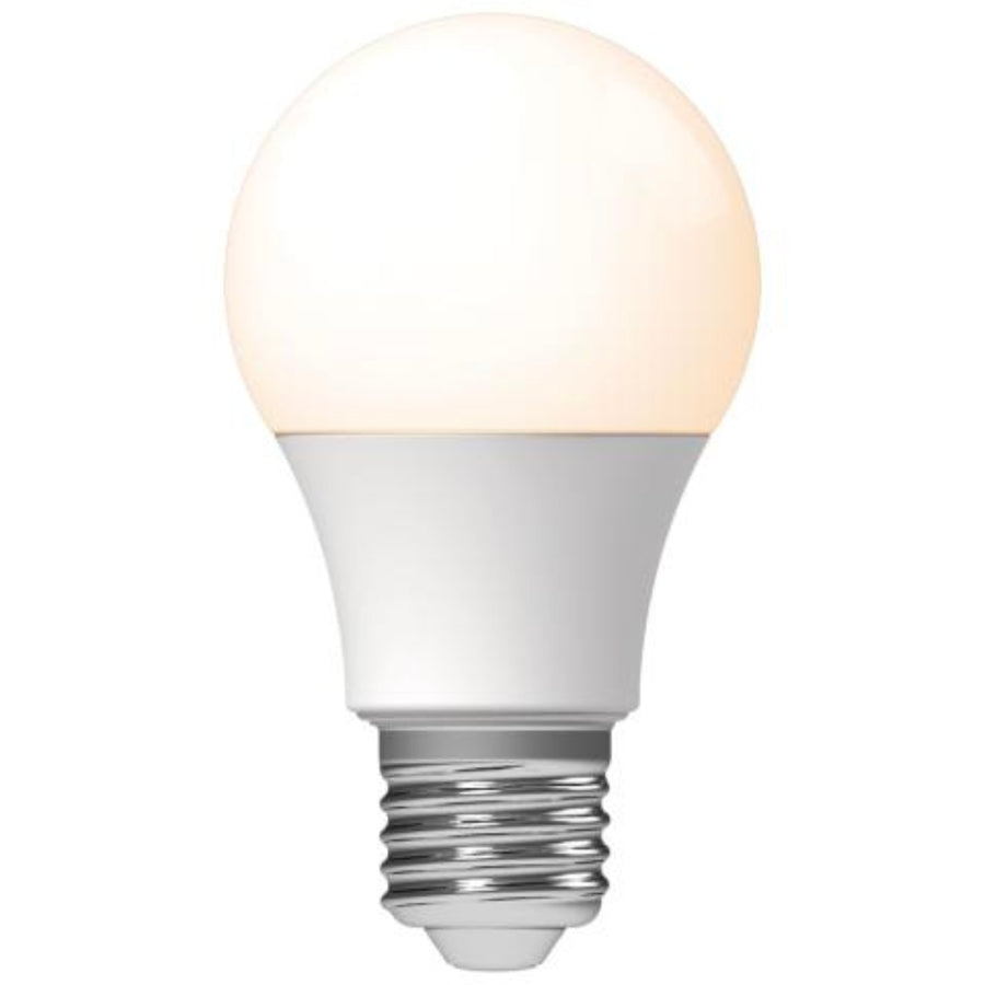 LED lamps with large E27 fitting - Warm white light - 8W/60W - 3PACK - LED.nl