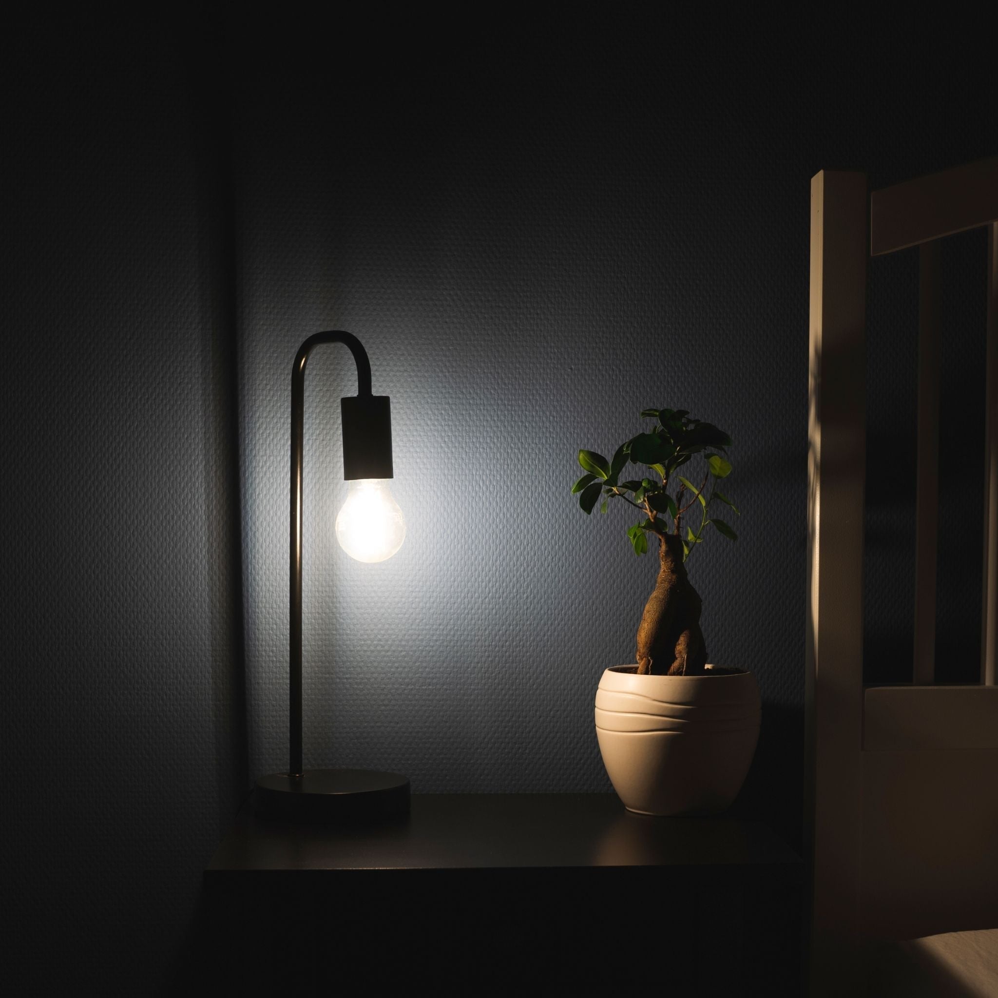 Dimbare LED filament lamp - E27 fitting - Dimbaar warm wit licht - Classic Lichtbronnen LED.nl