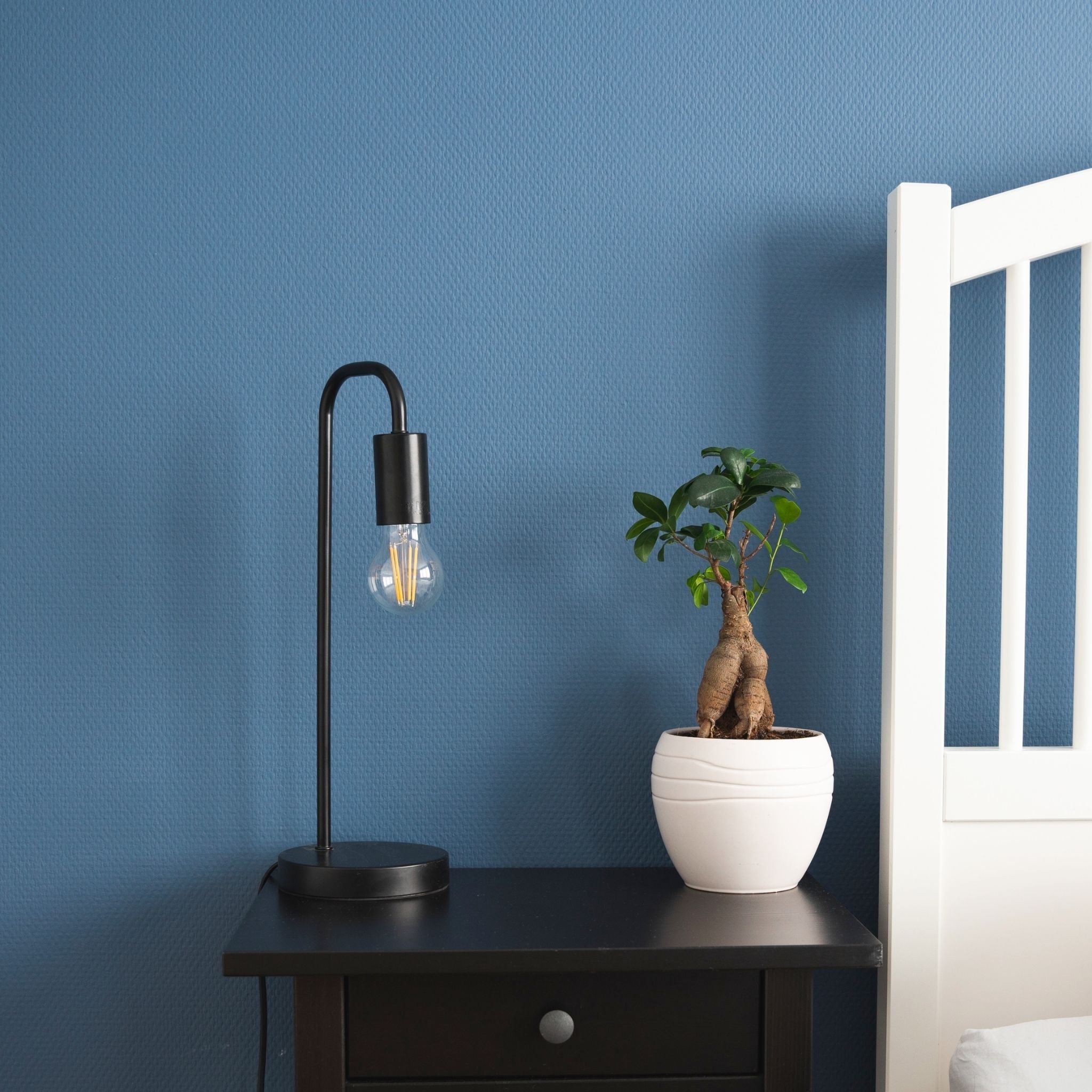 Dimbare LED filament lamp - E27 fitting - Dimbaar warm wit licht - Classic Lichtbronnen LED.nl