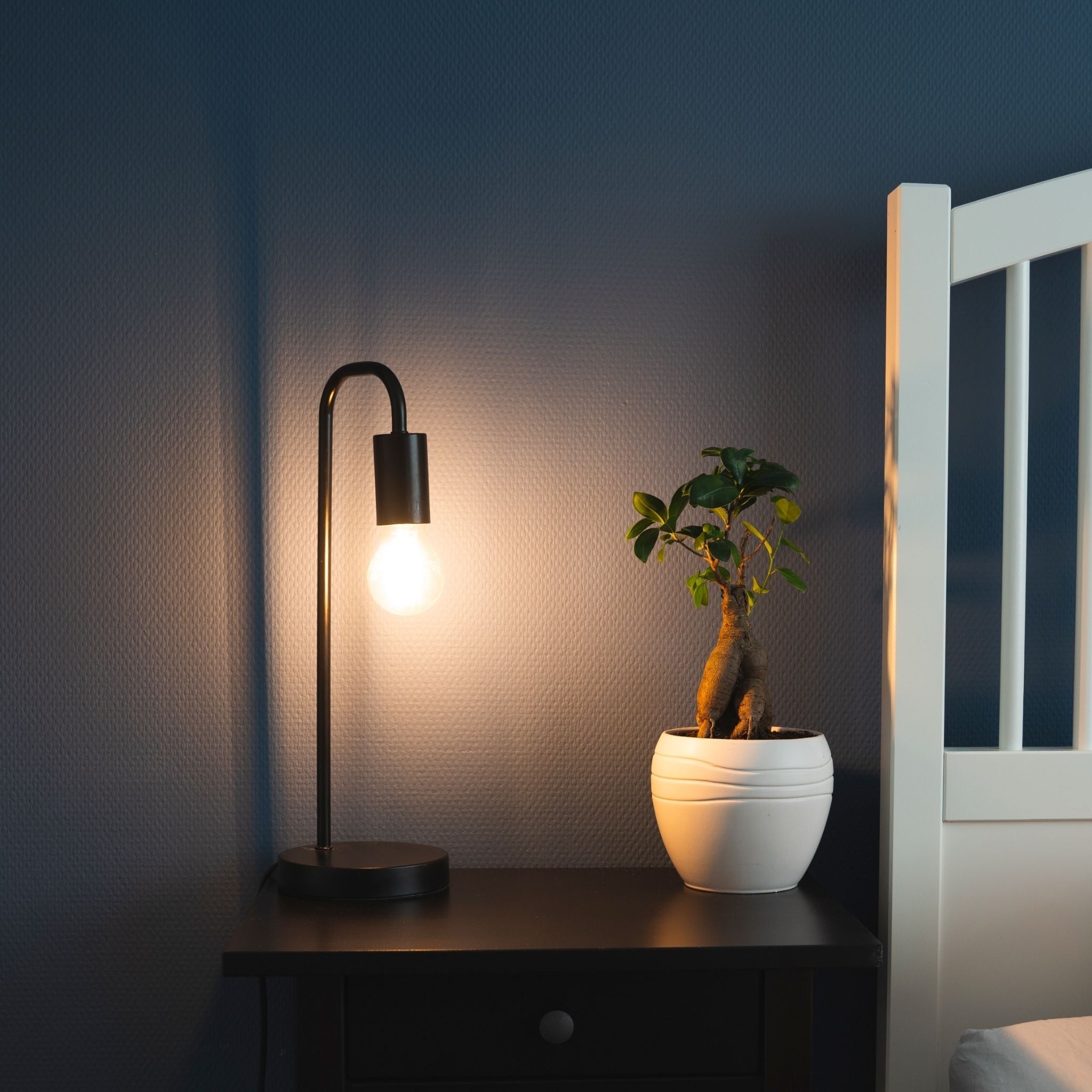 Dimbare LED filament lamp - E27 fitting - Dimbaar warm wit licht - Classic Lichtbronnen LED.nl
