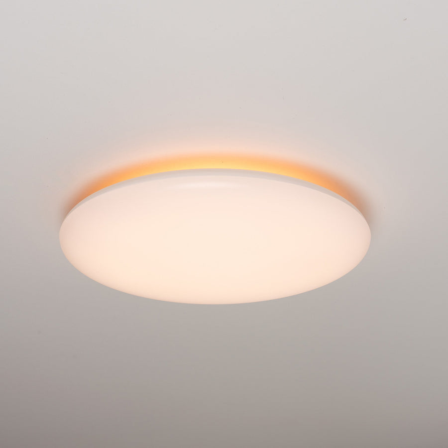 LED.nl Dimmable LED Ceiling Lamp _ 35 cm - Dimmable in 8 settings - Warm white ceiling lamp - LED.nl