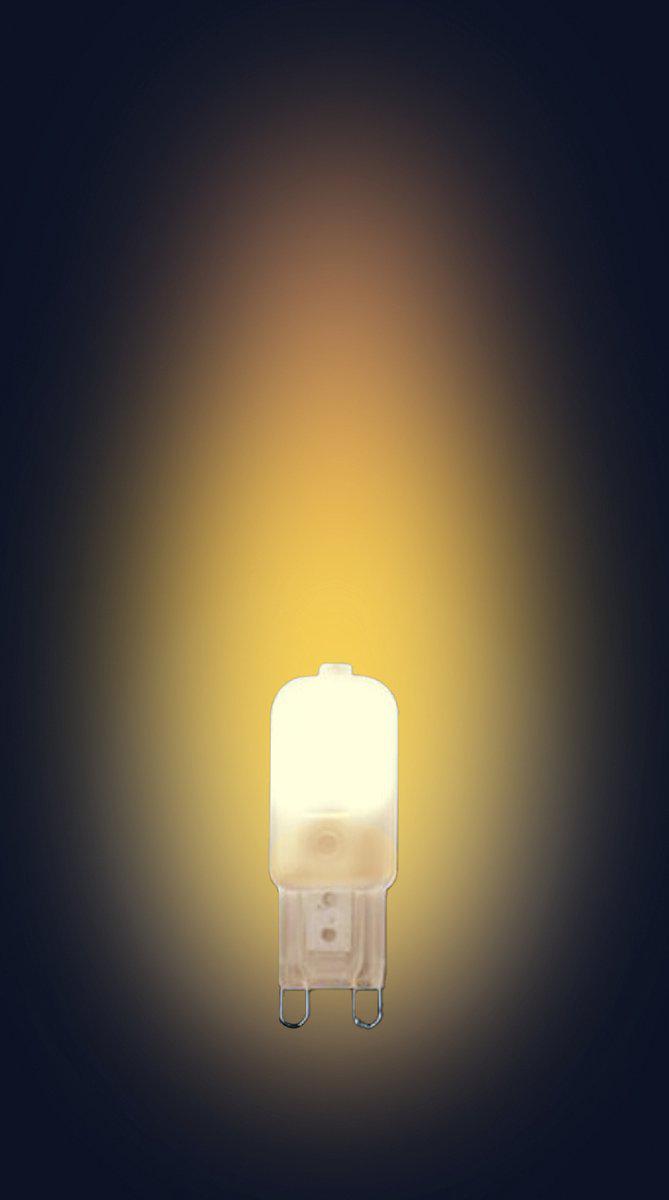 LongLife LED G9 Steeklampjes - Mat - 2W vervangt 20W - Warm wit licht Steeklampjes LED.nl