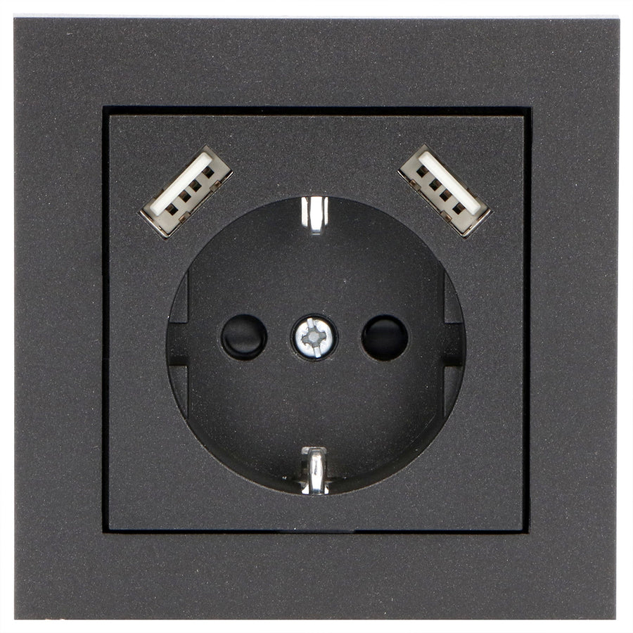 Reflex Inlegplaat voor wandcontactdoos met 2 USB - Zwart Stekkers LED.nl