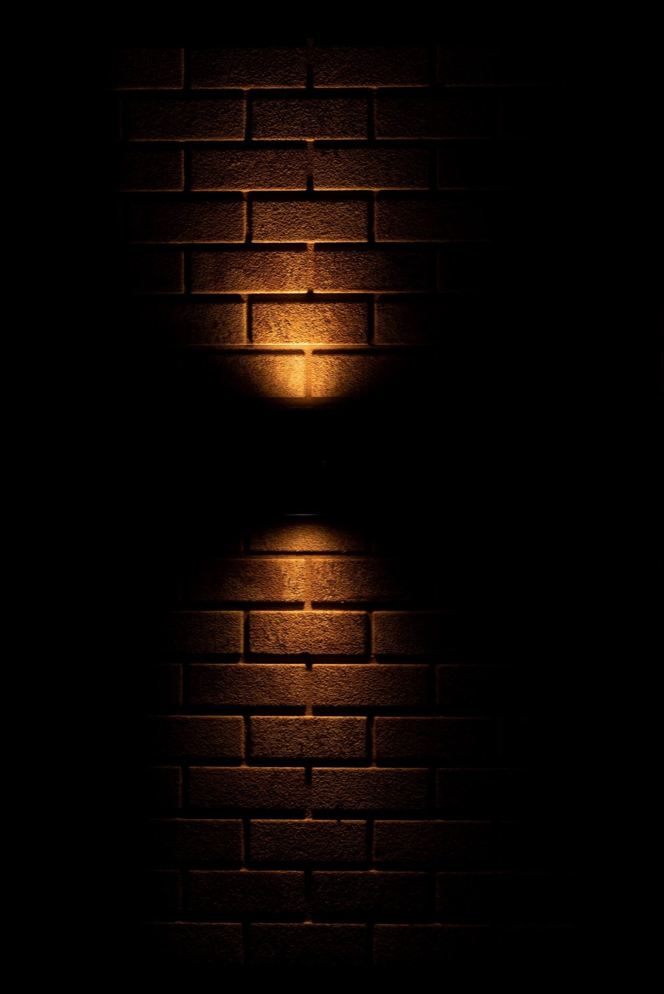 LED's Light RVS LED Muurlamp Buiten - Spot met 2 x GU10 fitting - Model Catania - IP44 - Zilver Spotjes LED.nl