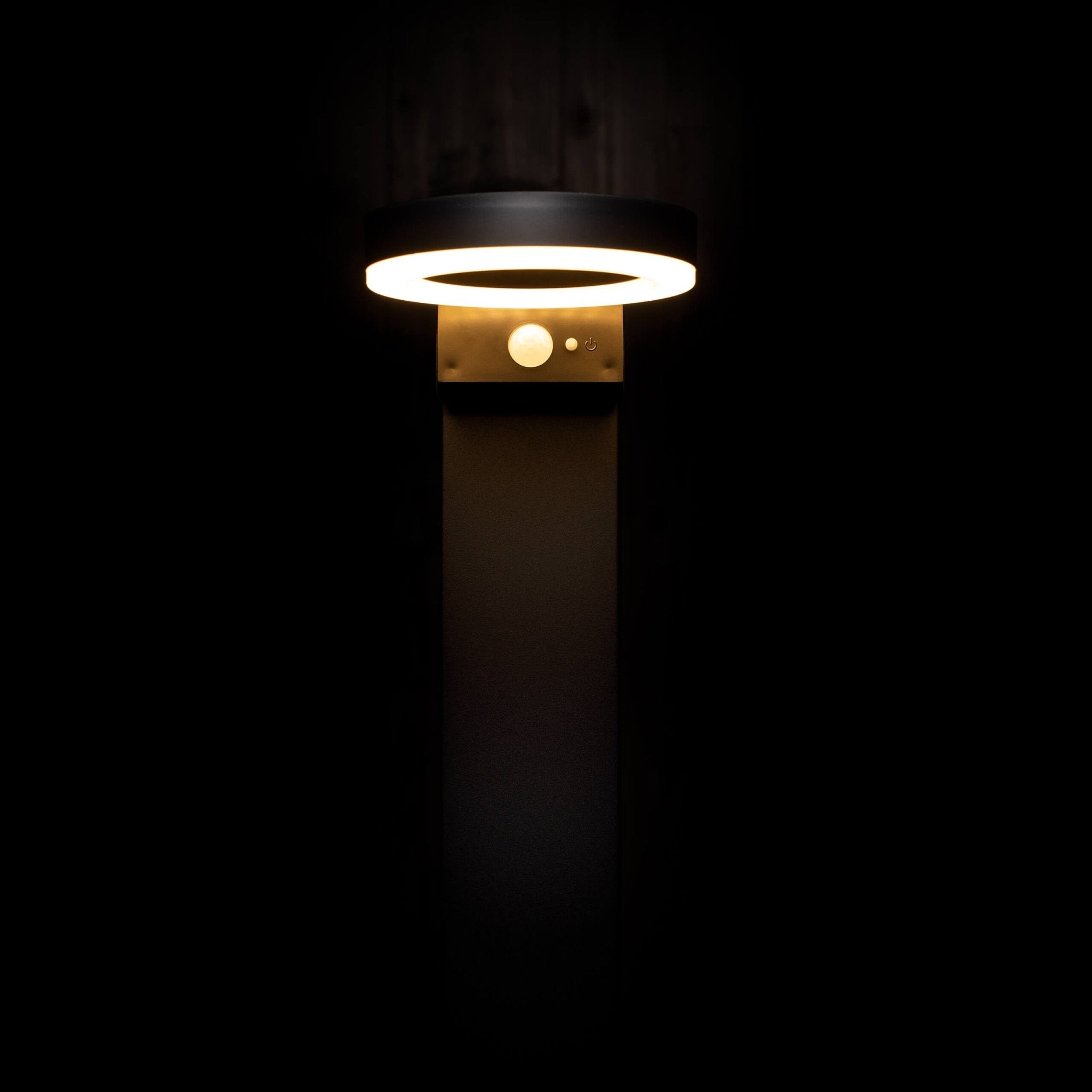 LED's Light RVS Solar LED Tuin Lantaarnpaal met Bewegingssensor - Draadloos - 3 standen - Zwart Lantaarns LED.nl